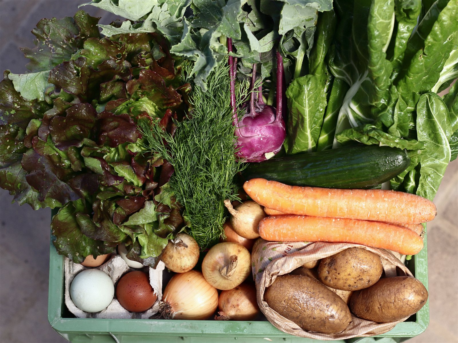 Frische Bio-Abokiste mit Gemüse, Kartoffeln und Eiern
