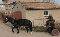 Feld, Wald, Stall, Büro (Kay)